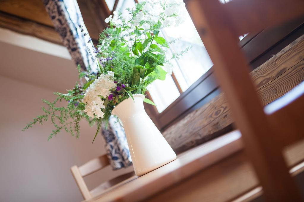 Penzion Na Belisku Březiny Habitación foto